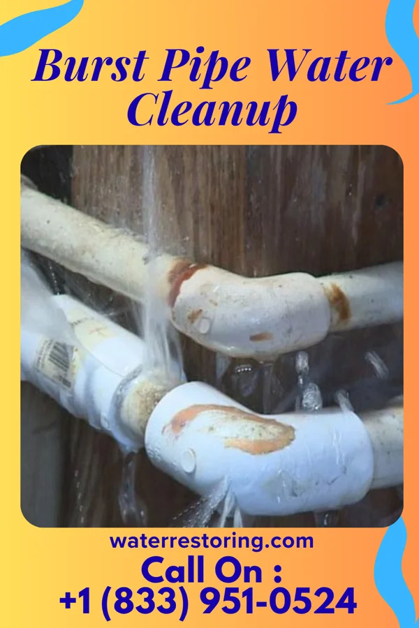 Burst Pipe Water Cleanup in Pence, IN