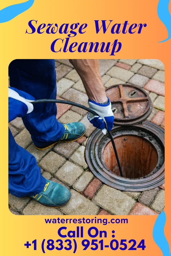 Sewage Water Cleanup in Pence, IN