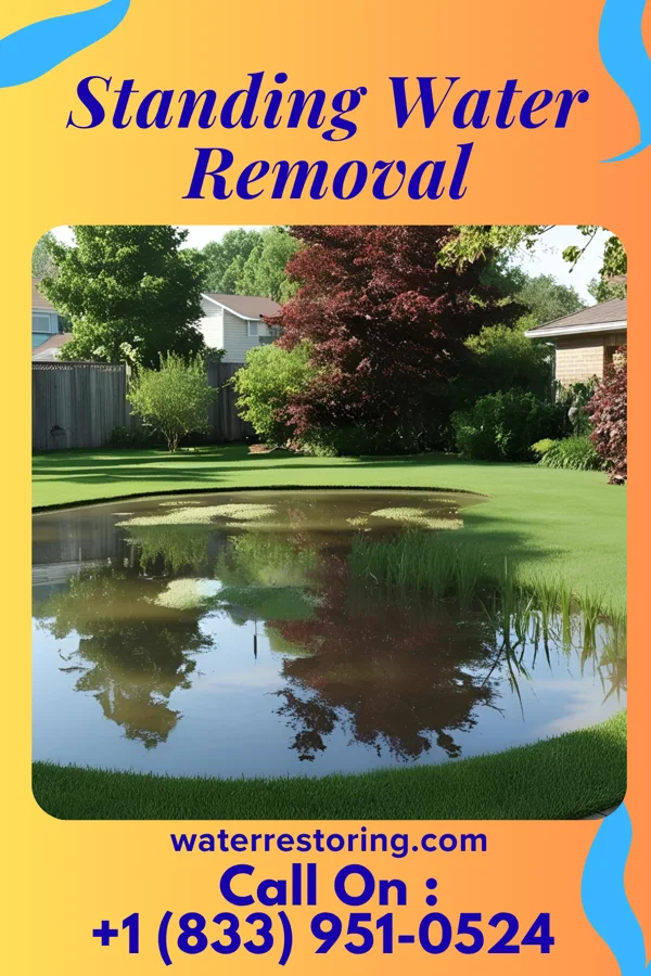 Standing Water Removal in Pence, IN